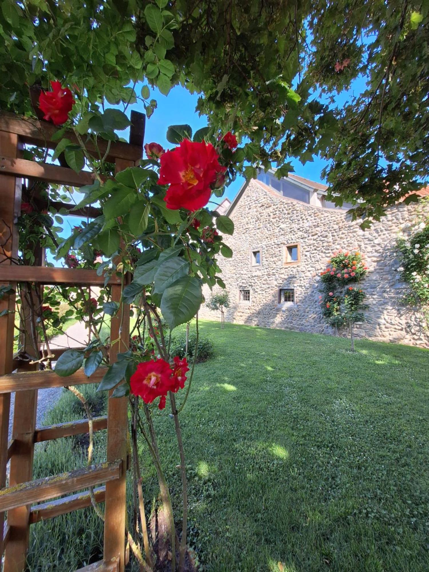 Ferienwohnung Ueberblick Radolfzell am Bodensee Buitenkant foto